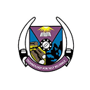 University Partner 6